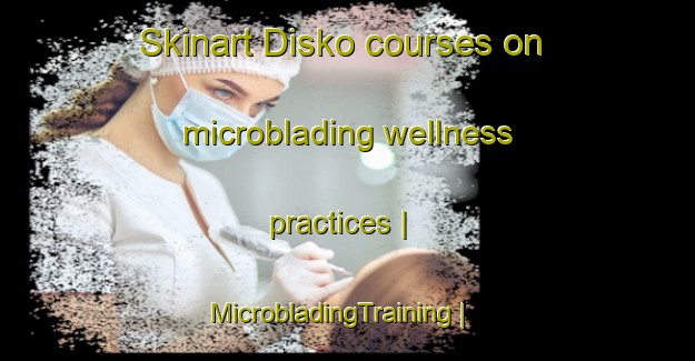 Skinart Disko courses on microblading wellness practices | MicrobladingTraining | MicrobladingClasses | SkinartTraining-United States